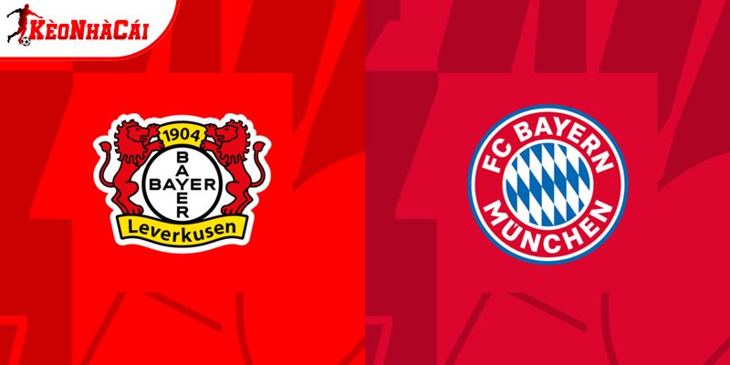 Soi kèo Bayer Leverkusen vs Bayern Munich, 21h30 14/3