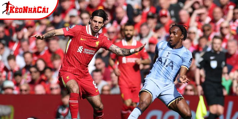 Thành tích so tài giữa Liverpool vs Tottenham
